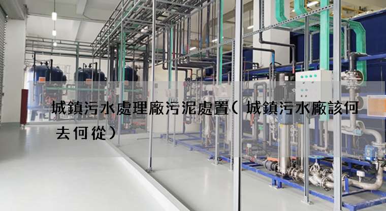 城鎮污水處理廠污泥處置(城鎮污水廠該何去何從)